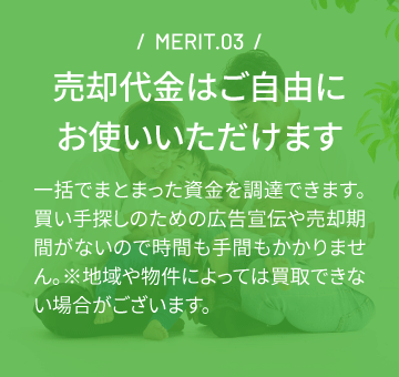 merit3